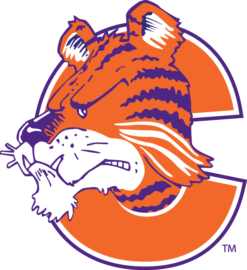 Clemson Tigers 1978-1992 Mascot Logo v2 DIY iron on transfer (heat transfer)